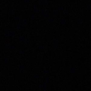 Meet your Posher, Bianca